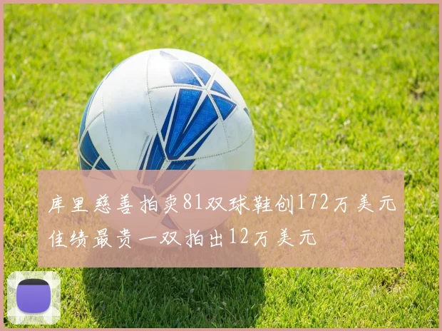 库里慈善拍卖81双球鞋创172万美元佳绩最贵一双拍出12万美元