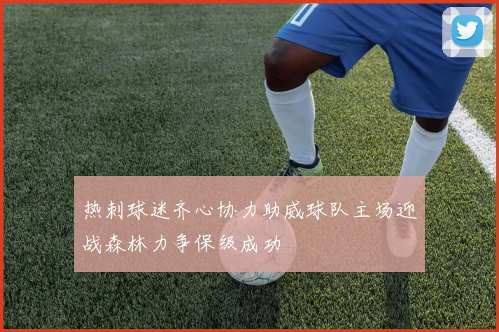 热刺球迷齐心协力助威球队主场迎战森林力争保级成功